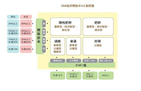 中廣身材|你真的認識自己的「體型」與「脂肪堆積型態」嗎？